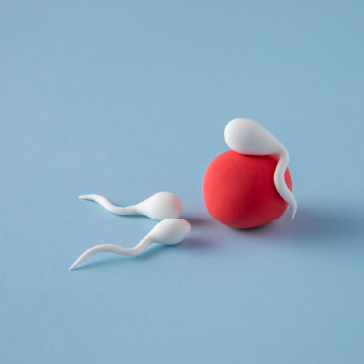 Male Infertility