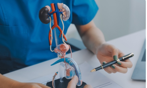 PG in Andrology & Sexual Medicine